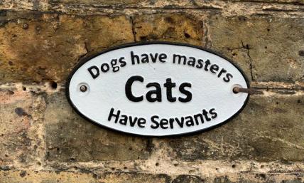 cats have servants sign